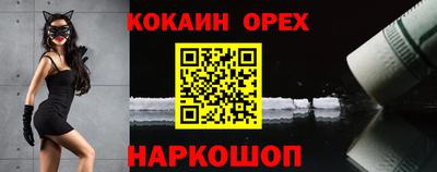 гидра Новозыбков