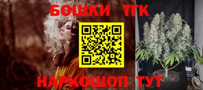 гидра Новозыбков