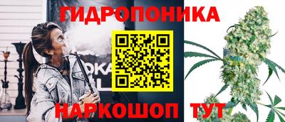 стаф Кузнецк