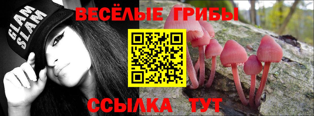 Псилоцибиновые грибы GOLDEN TEACHER Сухой Лог