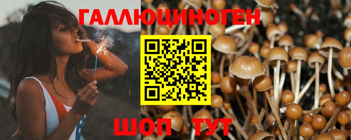 Сухой Лог  Псилоцибиновые грибы Magic Shrooms  Вход с VPN 